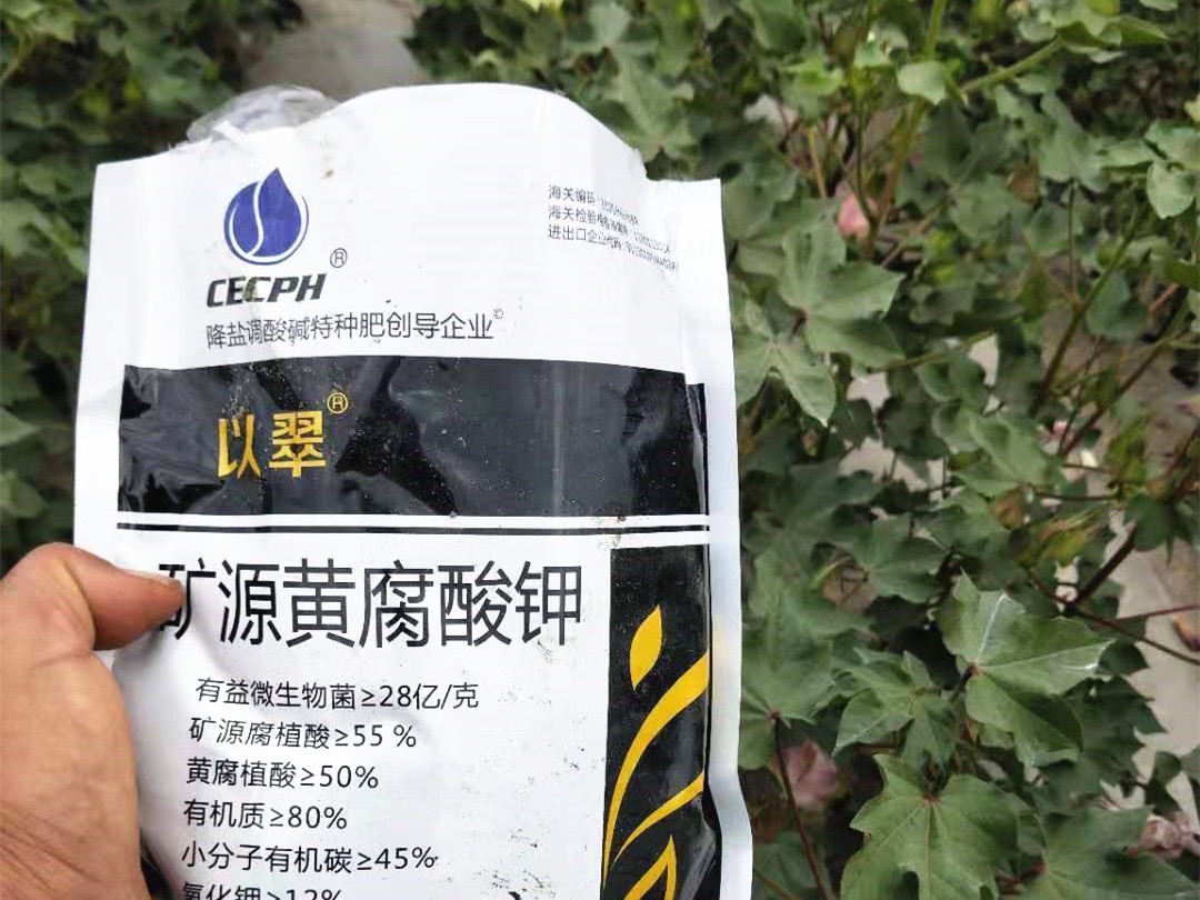 礦源黃腐酸鉀如何用效果翻倍？