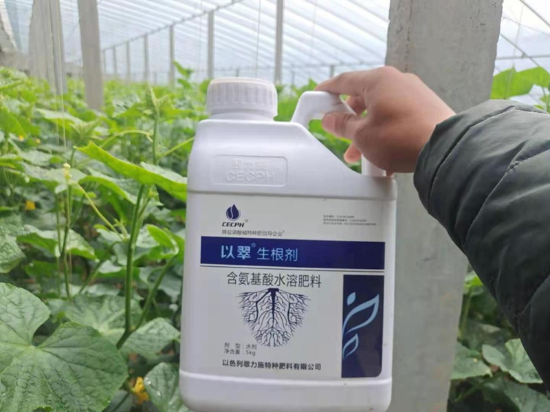 5公斤水溶肥多少錢-翠力施以翠生根劑