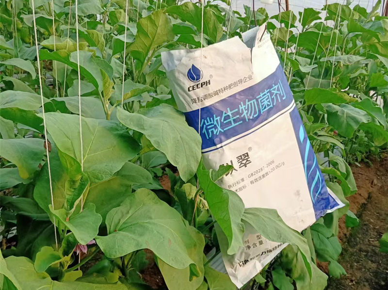 水溶肥品牌怎么選？記住這三招