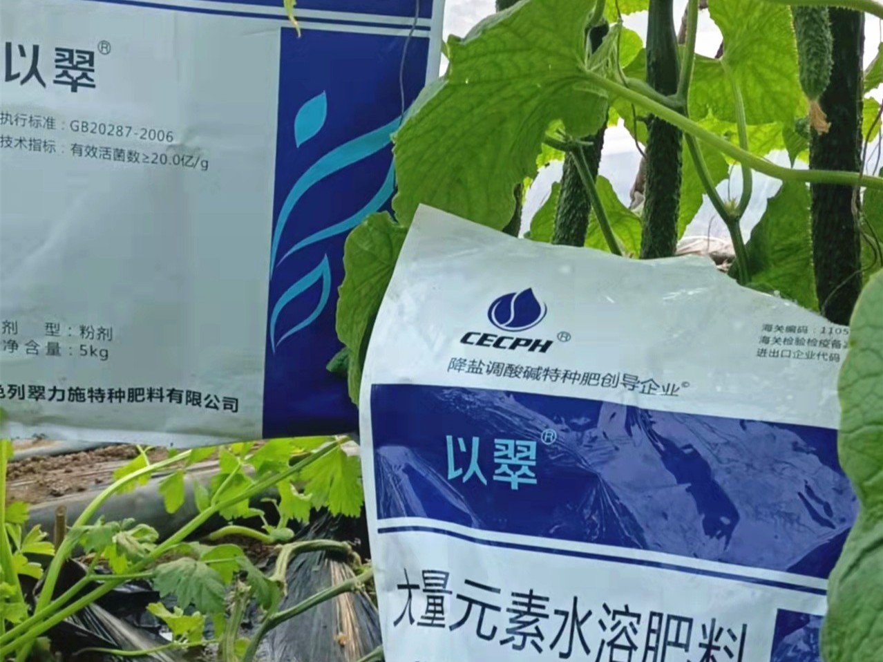 大量元素水溶肥怎么施肥？怎么挑選水溶肥？