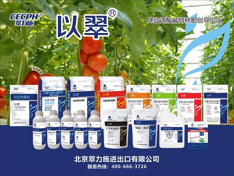 2023.6月所有產(chǎn)品海報(bào)