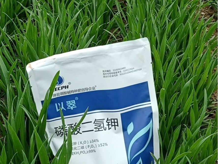 小麥灌漿期來了，產(chǎn)量高不高看這幾天了