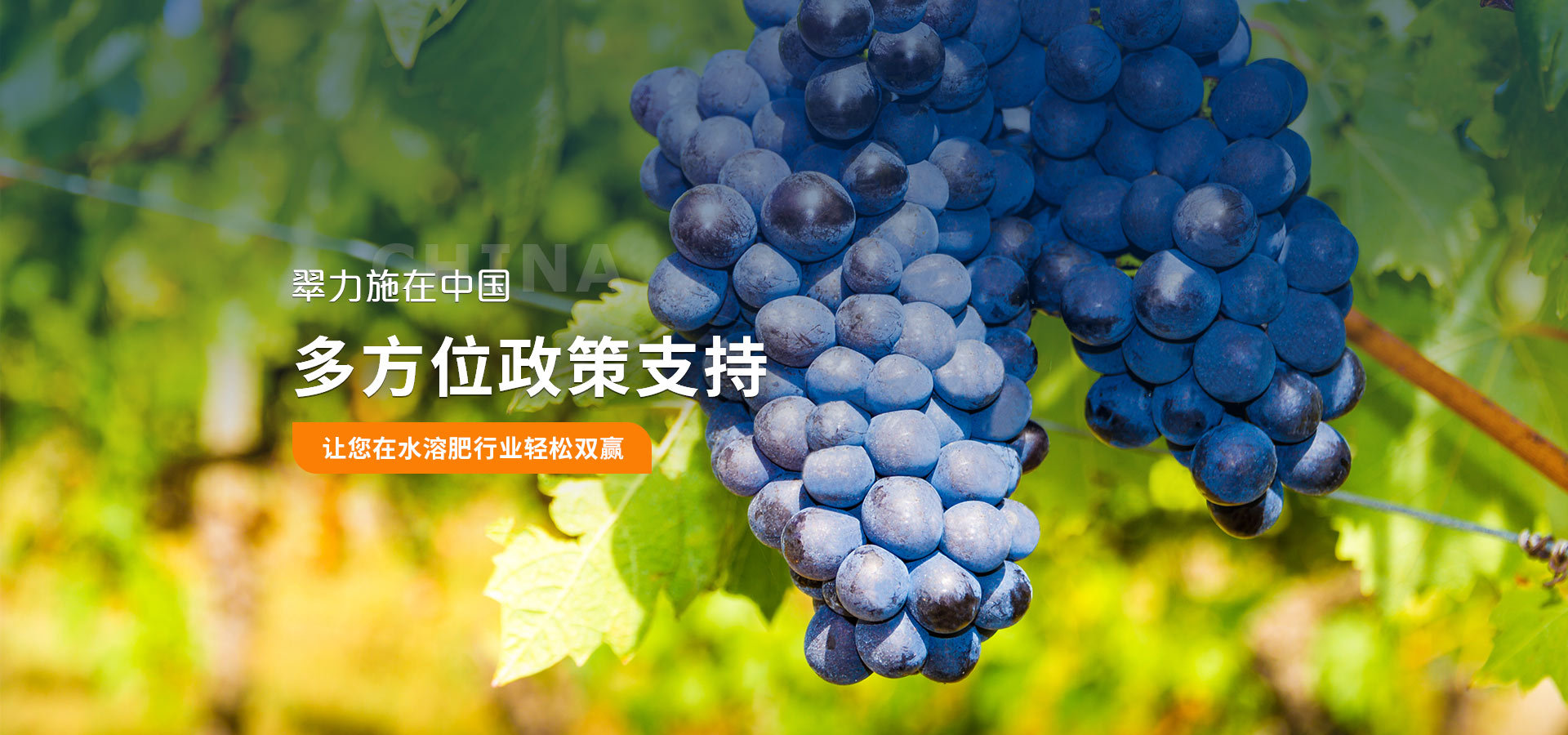 翠力施在中國(guó)，多方位政策扶持