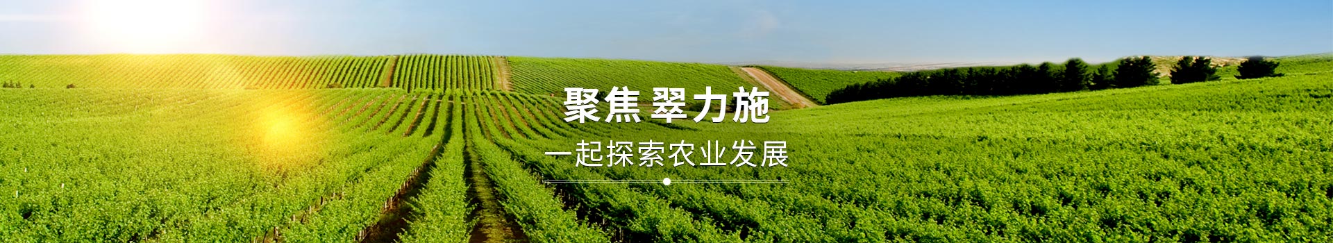 聚焦翠力施，一起探索農(nóng)業(yè)發(fā)展