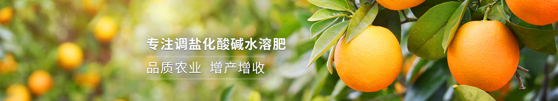 粉劑水溶肥，專注調(diào)鹽化酸堿水溶肥