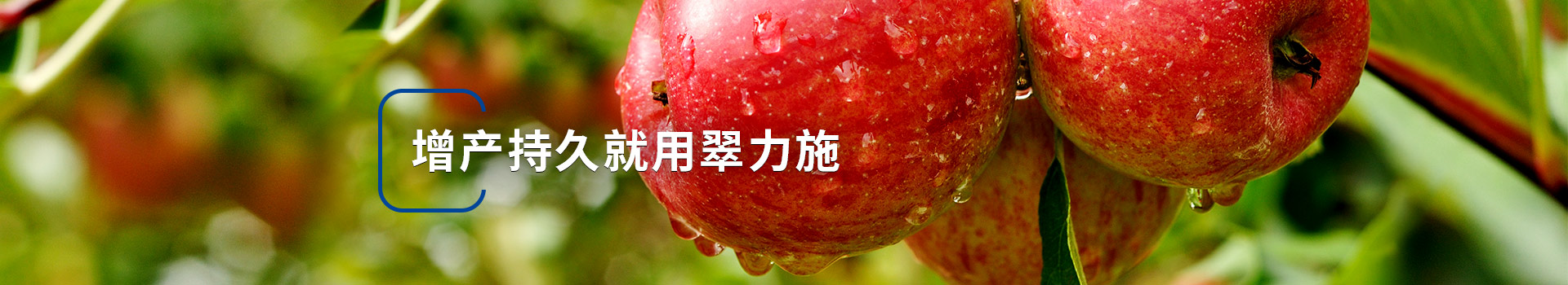增產(chǎn)持久就用翠力施顆粒水溶肥