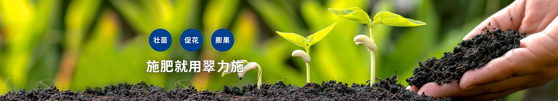 施肥就用翠力施