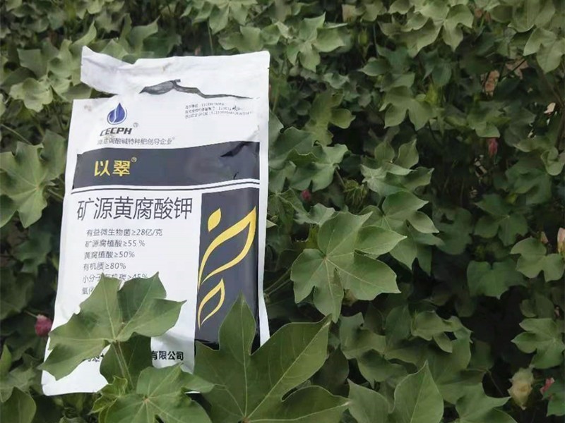 水溶肥哪家好？牛老板力薦翠力施