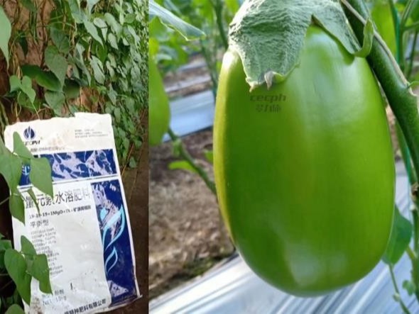 水溶肥大家都用哪個(gè)品牌？
