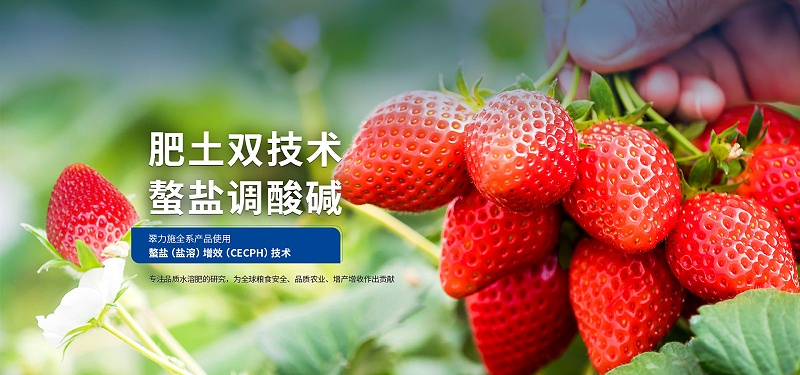 pc-首頁(yè)廣告02