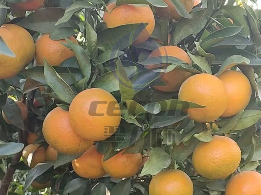 磷酸二氫鉀的正規(guī)廠家如何選擇？3個(gè)靠譜特點(diǎn)