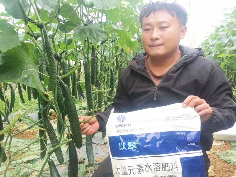 沖施肥啥牌的好？周總看好以翠！