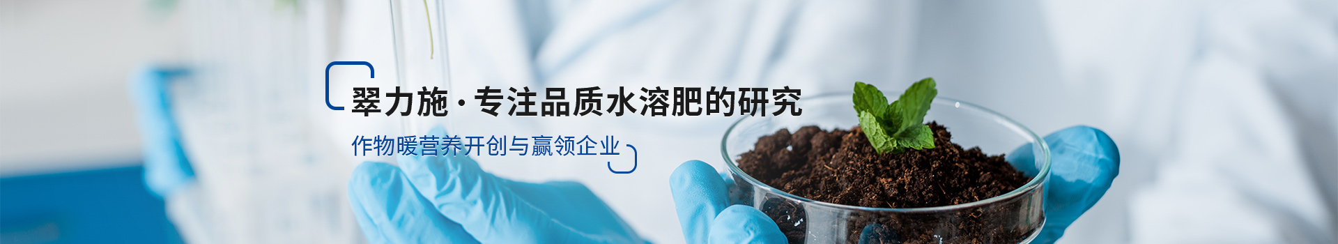翠力施，專注品質(zhì)水溶肥的研究