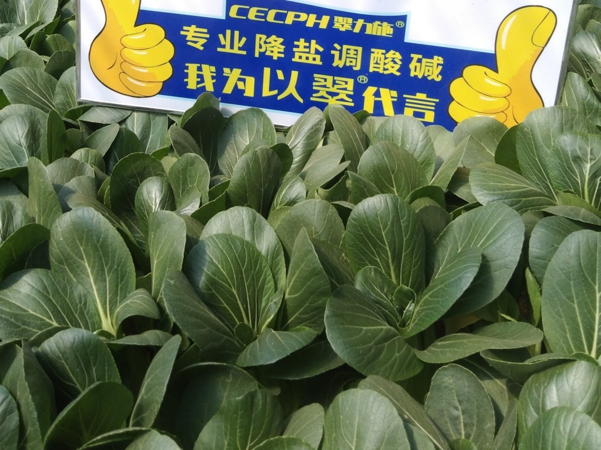 翠力施水溶肥：解決農(nóng)業(yè)種植難題