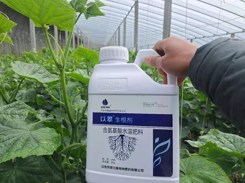 生根劑為何受歡迎？