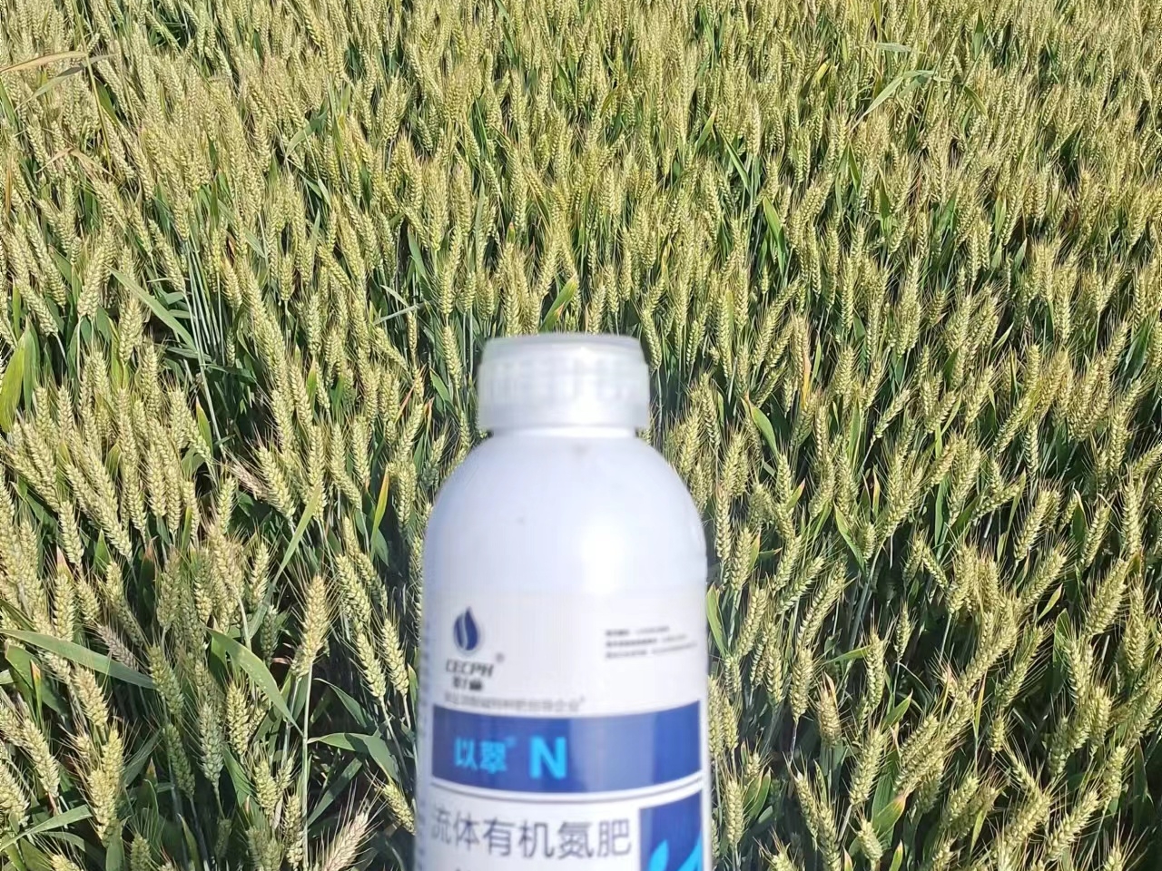 葉面肥用液體氮肥，能否代替尿素？