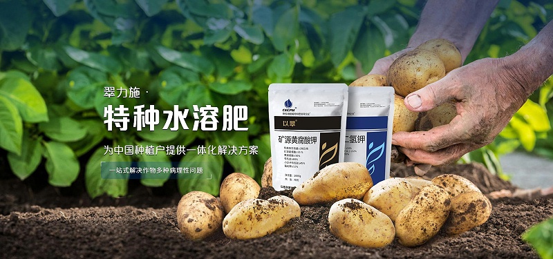 翠力施特種水溶肥