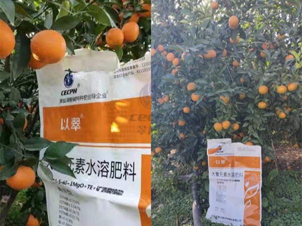 果樹什么時候施肥更好?有深度!