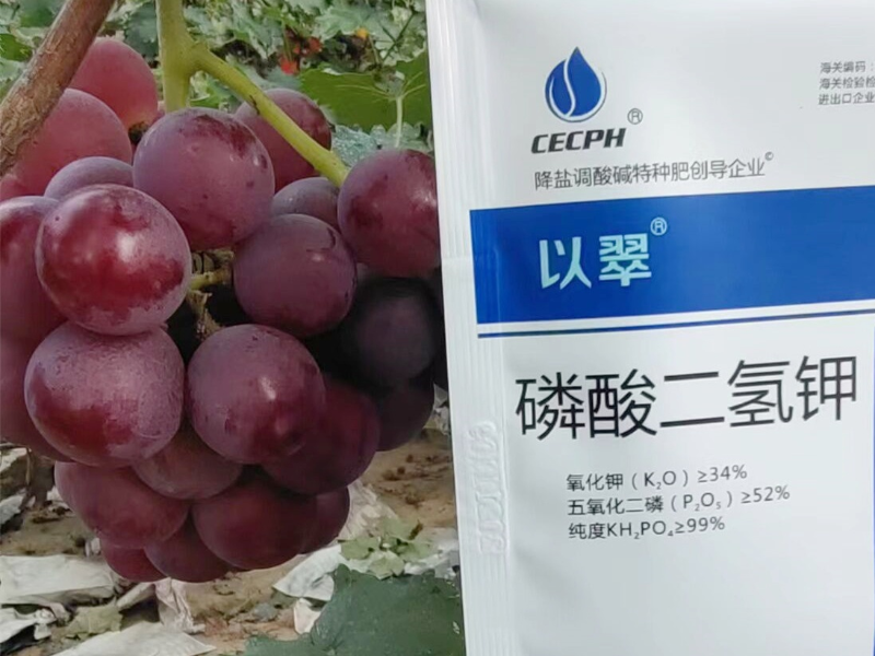 葉面肥-以翠葡萄效果