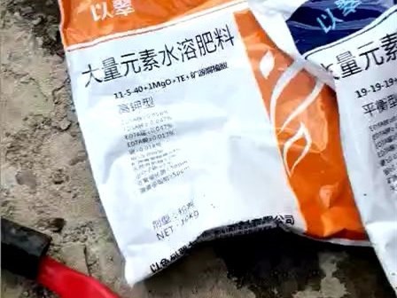 多雨季節(jié)怎么施肥？以翠螯鹽增效來幫您