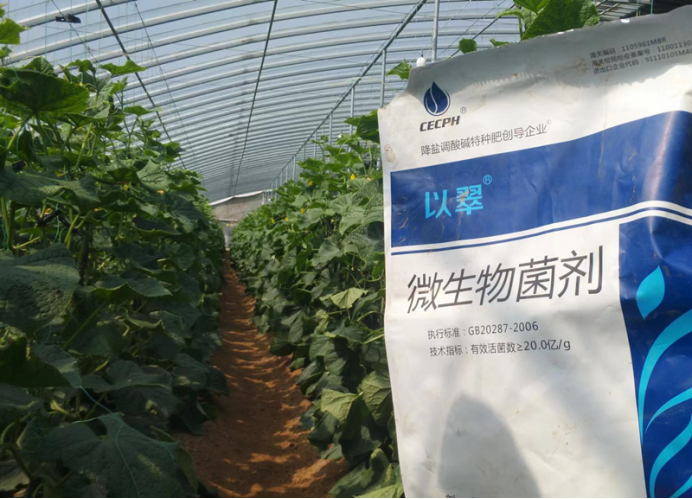 微生物菌劑怎么使用？