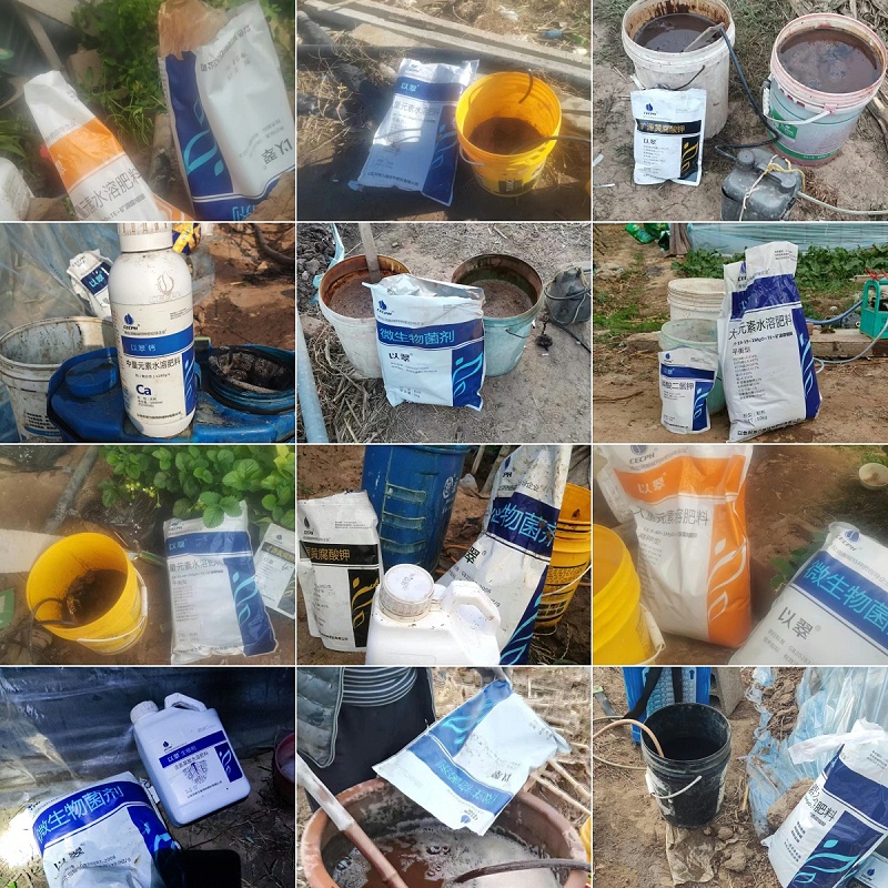 翠力施—部分用戶使用