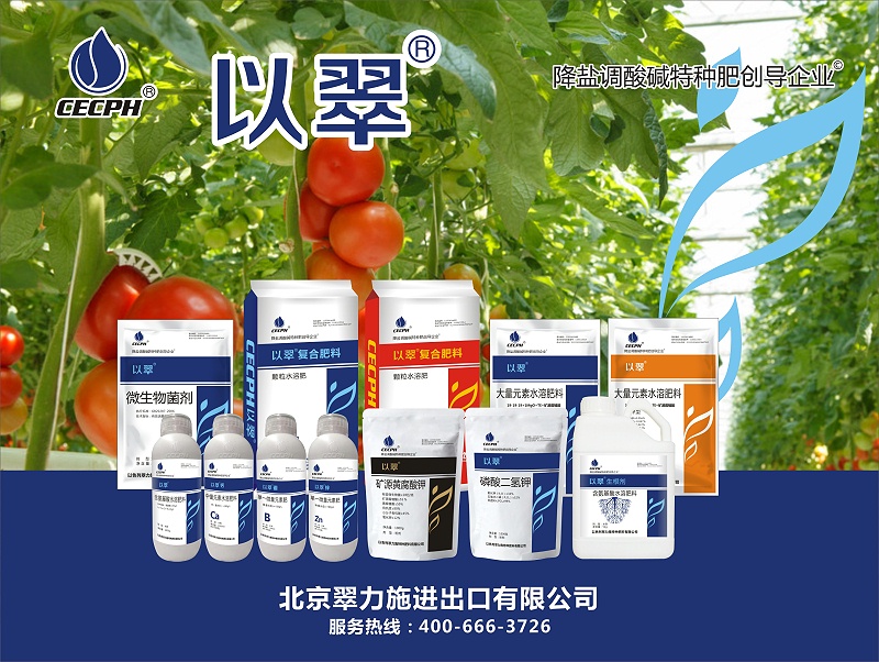 2021.8.24以翠所有產(chǎn)品