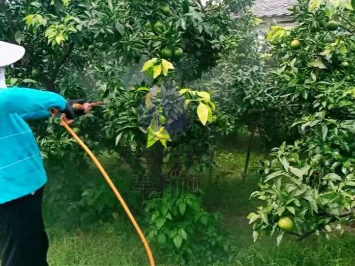 如何改良土壤？這倆缺一不可